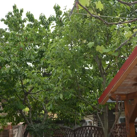 Apartament Victor 38 *