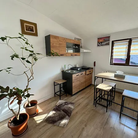 Victor 38 Apartament Bucureşti