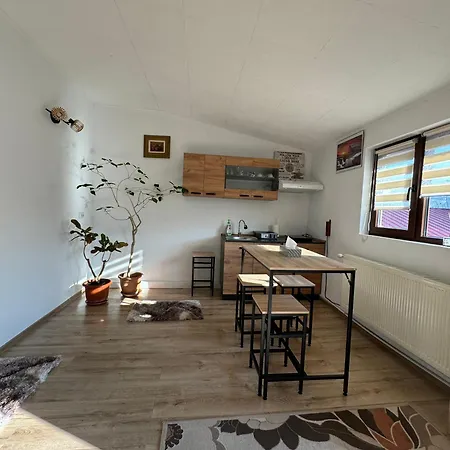 Victor 38 Bucureşti