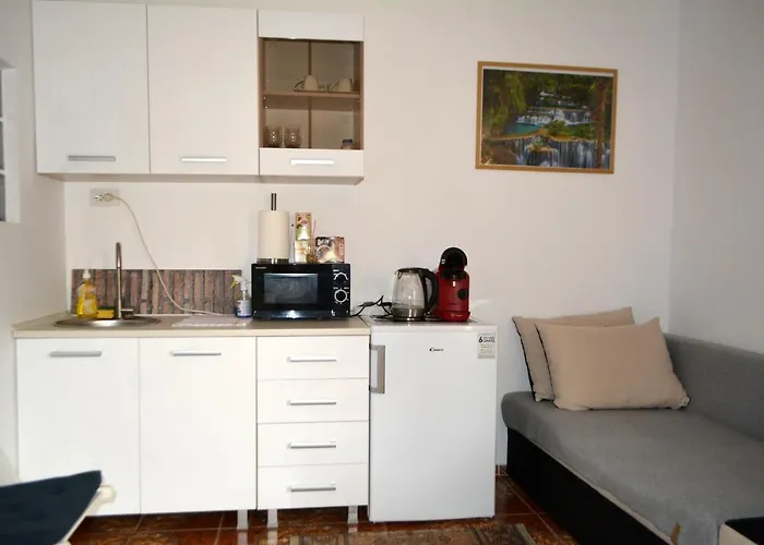 Victor 38 アパート ブカレスト