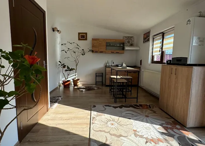 Victor 38 * ブカレスト