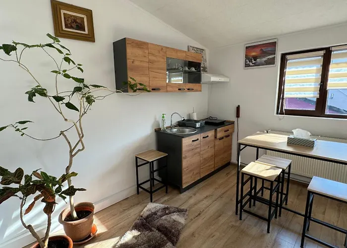 Victor 38 アパート ブカレスト