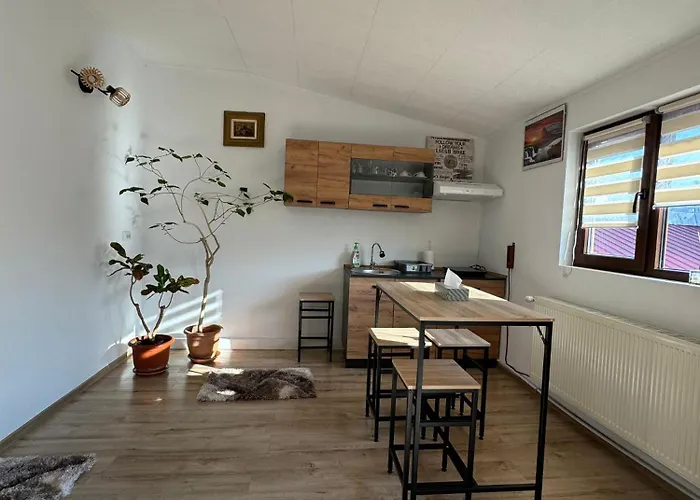 Victor 38 בוקרשט