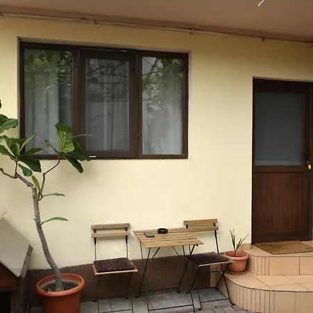 Victor 38 부쿠레슈티