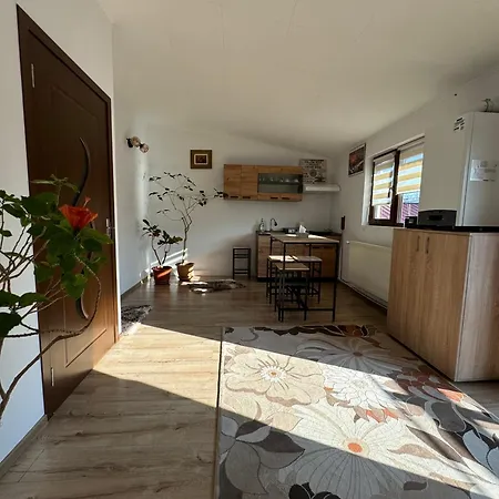 Victor 38 * Bucharest