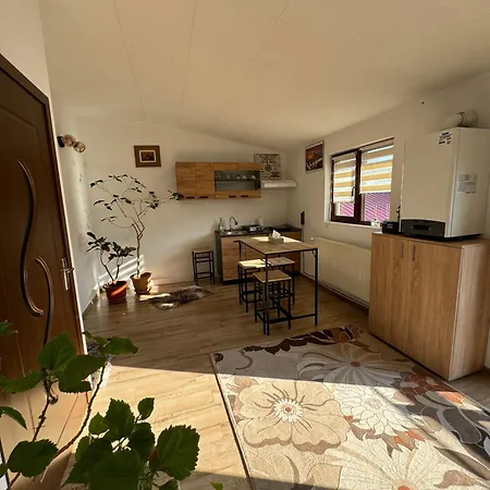 Victor 38 부쿠레슈티